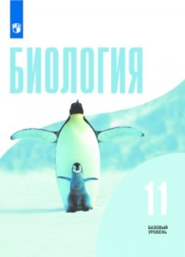 . 11 . .  .  ( )